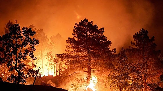 Almeria wildfire is now the third deadliest in Spanish history
