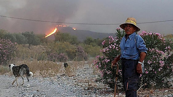 Almeria wakes up to a glimmer of hope in Los Gallardos as aerial firefighting resources return to battle the blaze