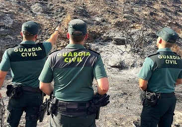 British tourists rescued in Almeria fire: ‘They begged us to save them because they wanted to see their children again’
