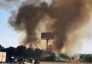 Vélez-Málaga calls for citizen cooperation to shed light on two major fires