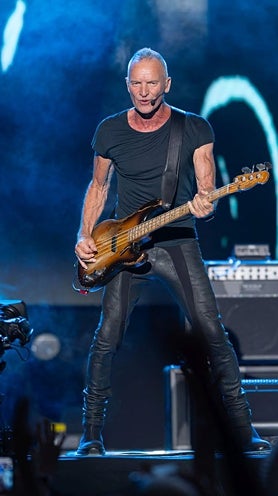 Imagen secundaria 2 - Sting in Fuengirola and Granada (bottom)