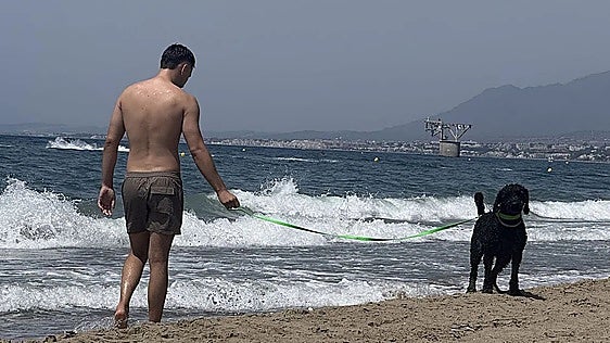 Marbella steps up patrols to enforce rules at dog-friendly beaches
