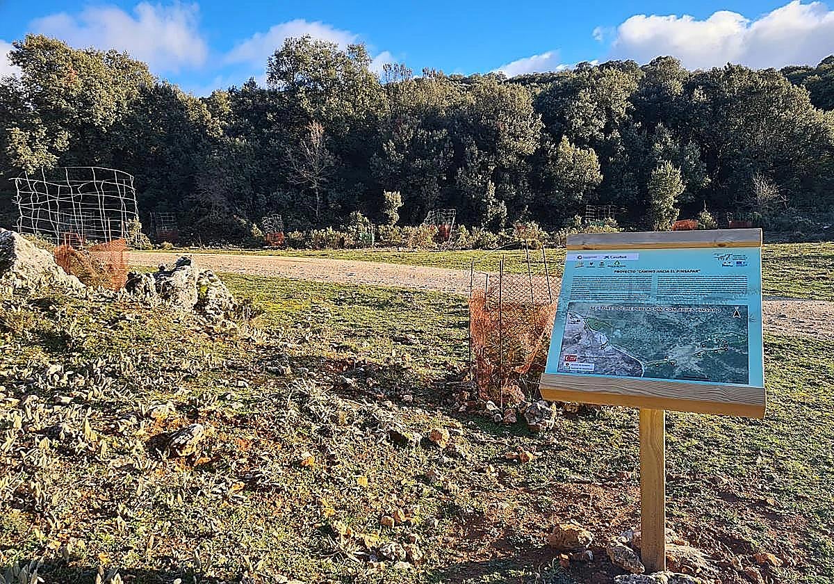 How soil science is helping restore lost Spanish fir forests in the Sierra de las Nieves