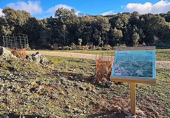 How soil science is helping restore lost Spanish fir forests in the Sierra de las Nieves