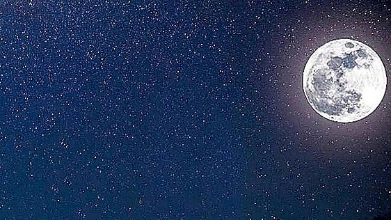 Enjoy a fusion of live music and stargazing in Rincón de la Victoria