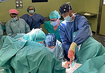 Malaga's Hospital Regional incorporates technique to correct uterine prolapse without removal