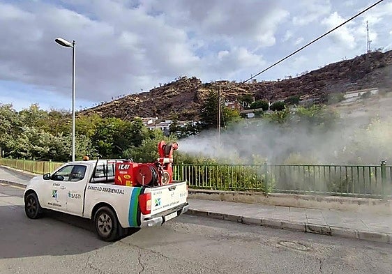 Health authorities launch West Nile surveillance in Salobreña after mosquitoes carrying the virus found in traps