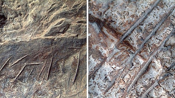 Malaga rock carvings in Cañete la Real shelter attributed to Neanderthals