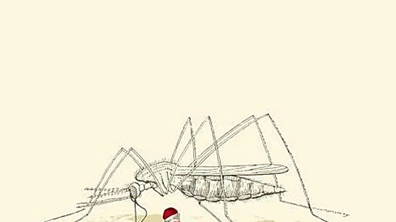 West Nile virus in Andalucía: Symptoms, transmission and high-risk areas explained