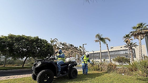 Twice-daily fumigation to curb spread of West Nile mosquito on Costa Tropical