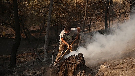 Spanish pulmonologist warns of dangers of breathing in fire smoke: from pneumonia to asthma and heart attacks