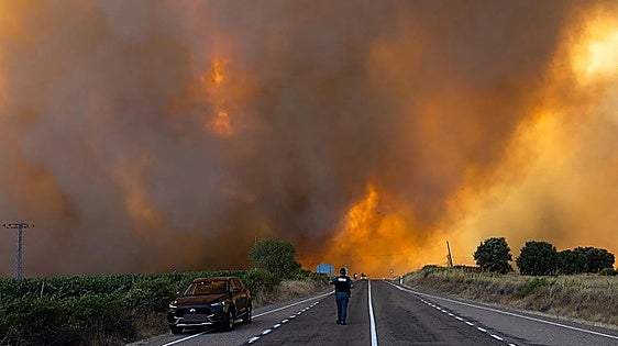 Spain fire rages on and forces further evacuations in Zamora despite stabilisation in Madrid