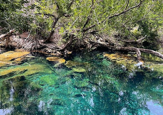 Turquoise freshwater lagoons at the Ojos Indígenas