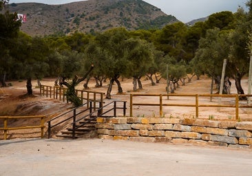 The project builds on the first phase completed last year.