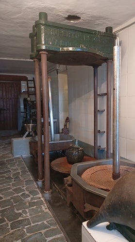 Imagen secundaria 2 - Grape treading in Cómpeta; raisins drying near El Borge; traditional machinery at Bodega Antonio Muñoz Cabrera, Moclinejo