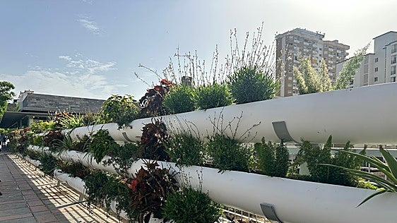 Fuengirola unveils new vertical gardens on town bridges