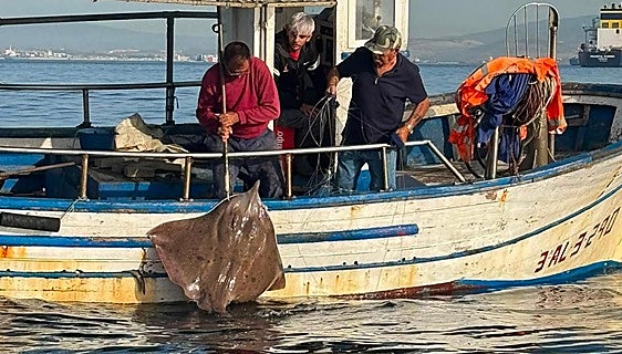 Spanish fishing vessel intercepted off Europa Point while fishing illegally