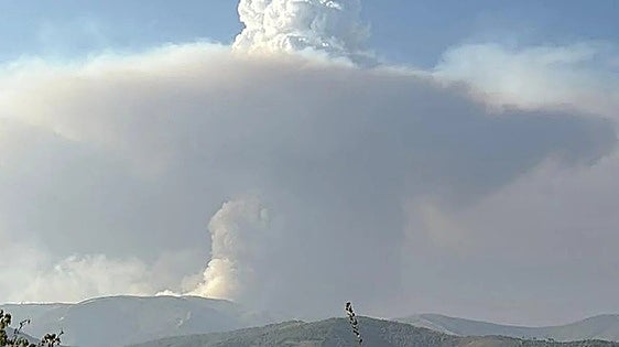 New western Spain fire destroys 1,600 hectares