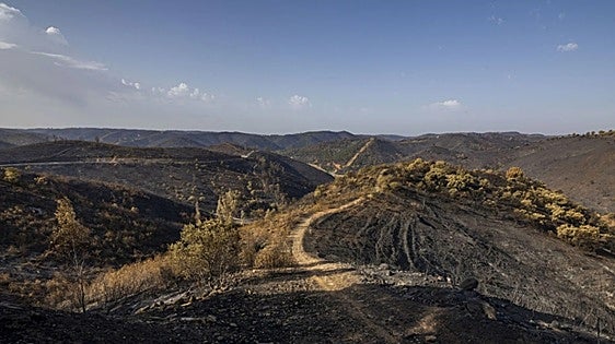 Huelva fire declared under control after two weeks of intense work