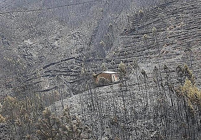 A scorched landscape.