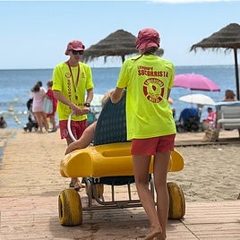 Lifeguards provide assistance to users with physical or visual disabilities.
