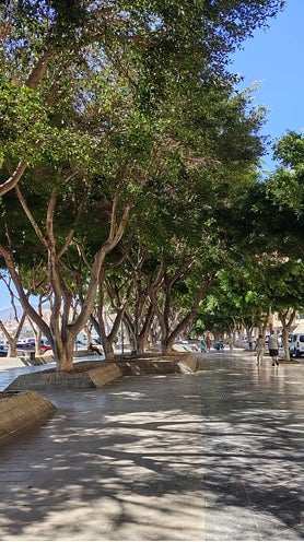 Imagen secundaria 2 - On the seafront promenade.