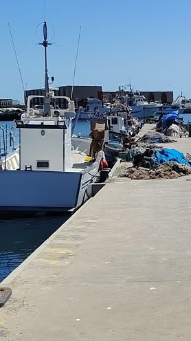 Imagen secundaria 2 - In the port.