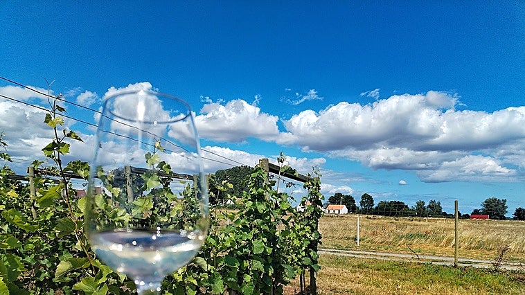 The wine without sun but with love