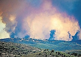 Picture of the fire in Niebla.