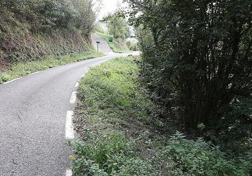 The spot from which the wild boar emerged to lunge at the woman who was walking along the road leading to Karakate.