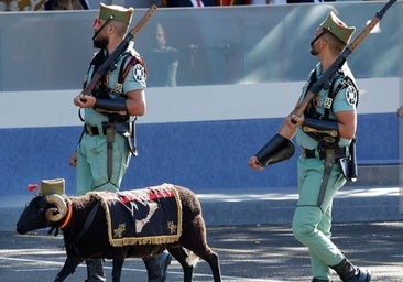 Andalusian-born Baraka in the 2025 parade.