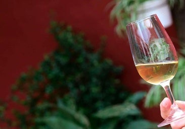 Huelva provincial authority backs the province's food and drink producers at SUR Wines & Gourmet 2026