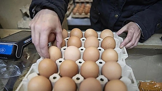 Basque Country restaurant declared root of international salmonella alert