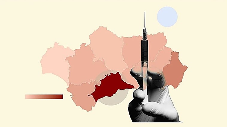 Malaga province tops ranking of euthanasia cases in Andalucía, with 13 in the last year