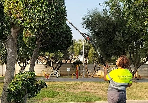 Torremolinos needs one million euros to maintain its trees and green spaces in Los Álamos