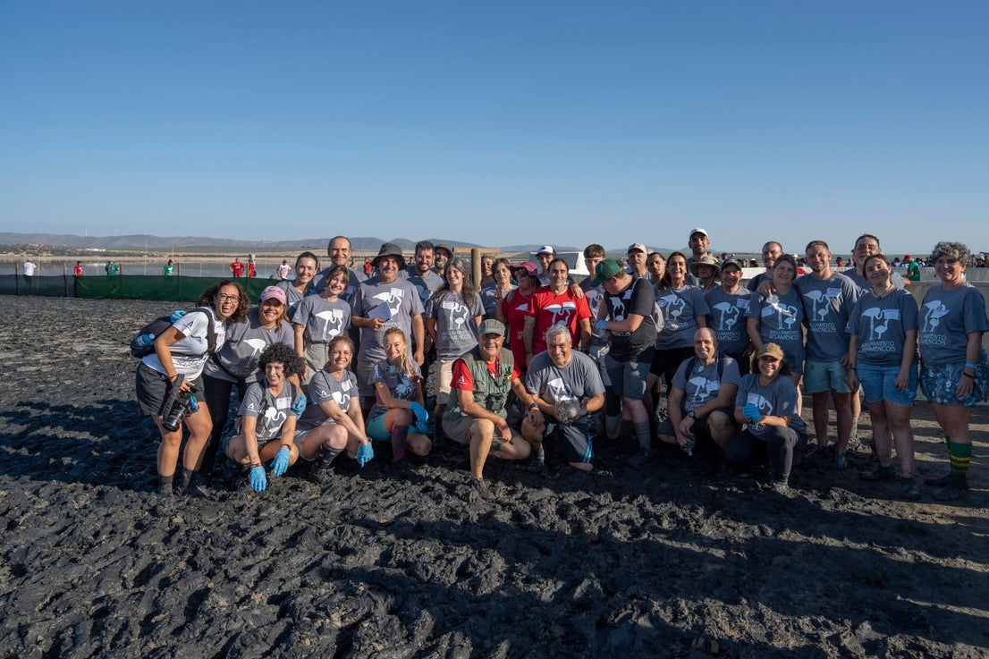 Fuente de Piedra community joins effort to ring 600 flamingo chicks