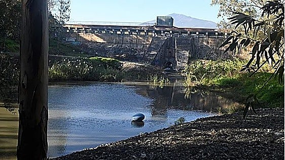 Marbella awards contract for refurbishment of derelict Las Medranas dam