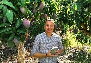 Almuñécar’s Councillor for Agriculture, at the El Zahorí estate next to a mango plantation