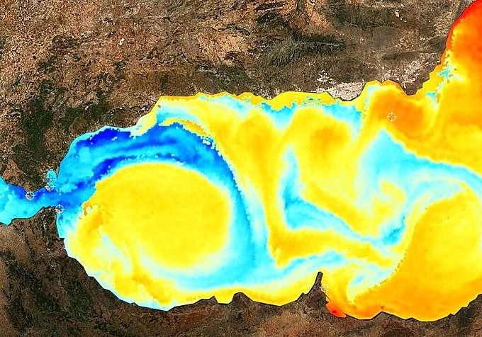 Screenshot of the Puertos del Estado website showing the different colours depending on the sea water temperature.