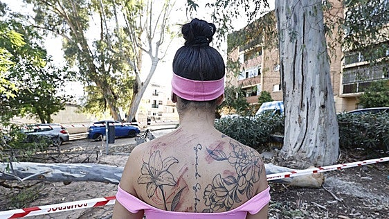Malaga residents hurt by fallen tree branch and their families to seek compensation from the city council