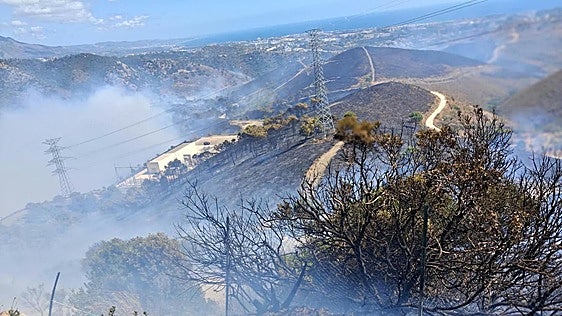 The fire in Benahavís has been 'stabilised' and all residents can return to their homes