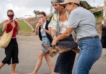 Release of the specimen on La Morera beach.