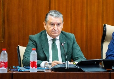 Regional minister of health of Andalucía Antonio Sanz.