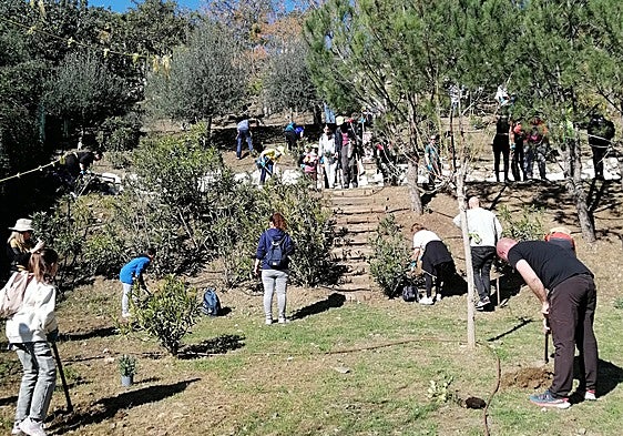 Autumn tree-planting initiative will see 2,400 trees and shrubs planted in the Axarquía and Ronda