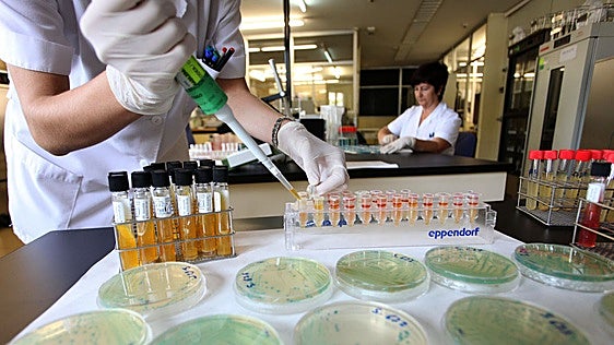 Benalmádena wedding food poisoning cause confirmed as salmonella