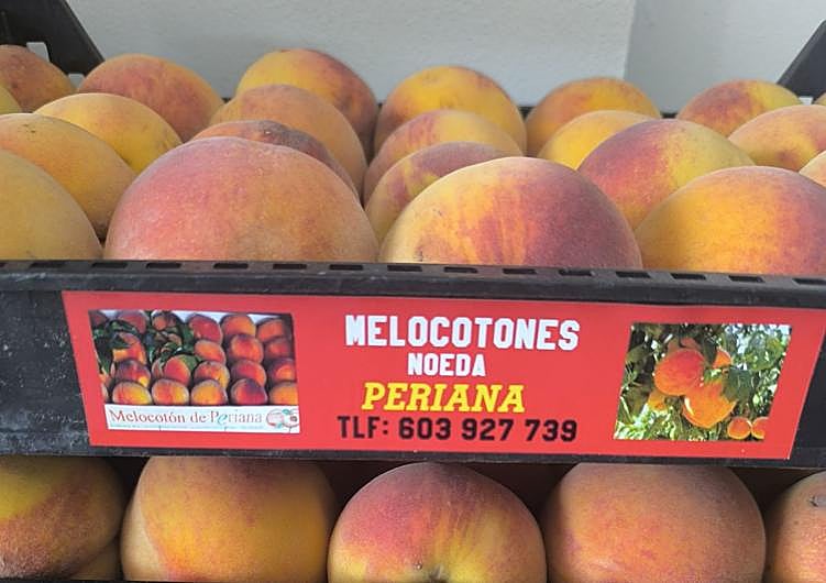 Imagen principal - Periana peaches: the fruit that draws hundreds of people to the Alta Axarquía
