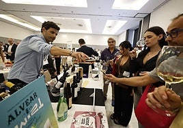 Malaga hosts sixth Sur Wines & Gourmet this Monday, with around 250 wineries taking part