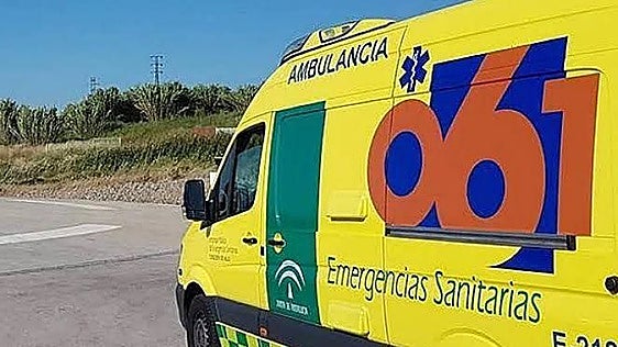 Elderly cyclist found dead on Malaga province road