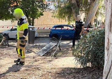 Malaga 112: Two young women hurt as tree branch falls