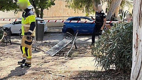 Malaga 112: Two young women hurt as tree branch falls